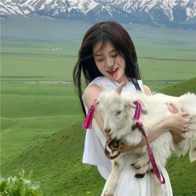 爱情不轮转高清封面